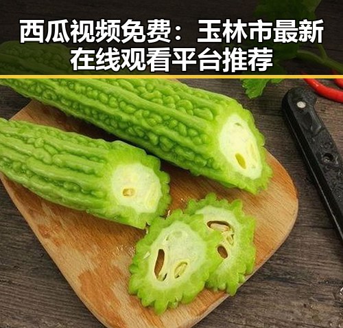 西瓜视频免费：玉林市最新在线观看平台推荐