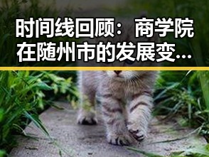 时间线回顾：商学院在随州市的发展变迁与人物故事