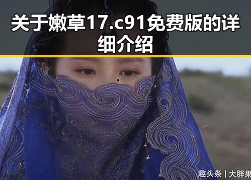 关于嫩草17.c 91免费版的详细介绍