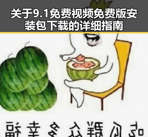 关于9.1免费视频免费版安装包下载的详细指南