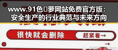 www.91色😍萝网站免费官方版：安全生产的行业典范与未来方向