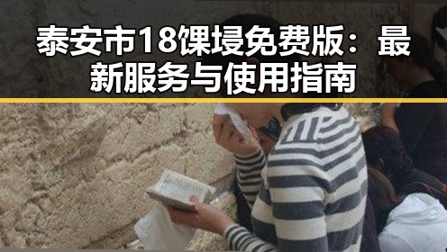 泰安市18馃埐免费版：最新服务与使用指南