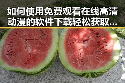 如何使用 免费观看在线高清动漫的软件下载轻松获取资源