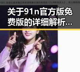 关于91n官方版免费版的详细解析与背景解读