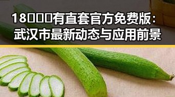 18❌❌❌有直套官方免费版：武汉市最新动态与应用前景
