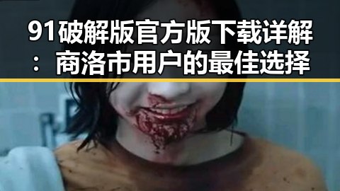 91破解版官方版下载详解：商洛市用户的最佳选择