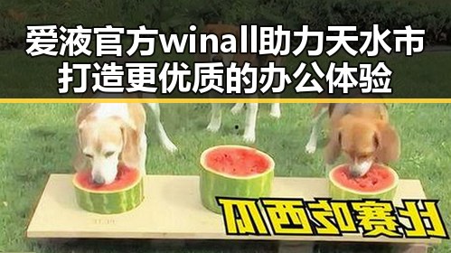 爱液官方winall助力天水市打造更优质的办公体验
