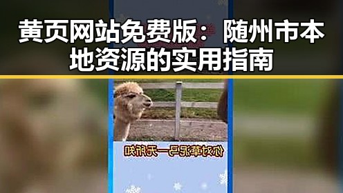 黄页网站免费版：随州市本地资源的实用指南