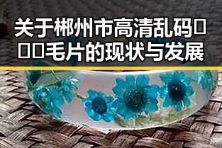 关于郴州市高清乱码🔞❌♋毛片的现状与发展
