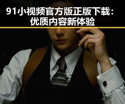 91小视频官方版正版下载：优质内容新体验