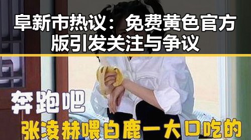 阜新市热议：免费黄色官方版引发关注与争议