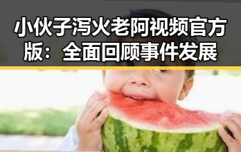 小伙子泻火老阿视频官方版：全面回顾事件发展
