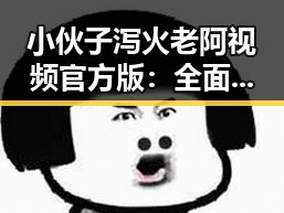 小伙子泻火老阿视频官方版：全面回顾事件发展