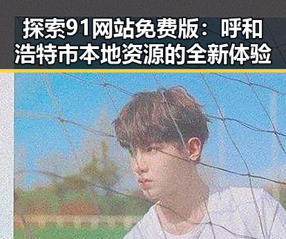 探索91网站免费版：呼和浩特市本地资源的全新体验