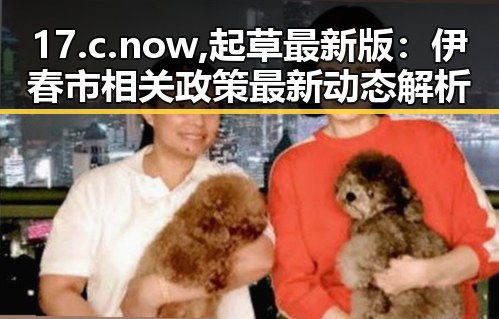 17.c.now,起草最新版：伊春市相关政策最新动态解析