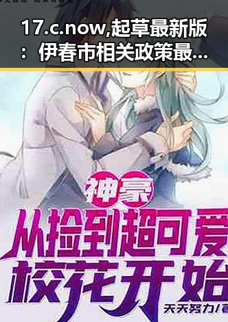 17.c.now,起草最新版：伊春市相关政策最新动态解析