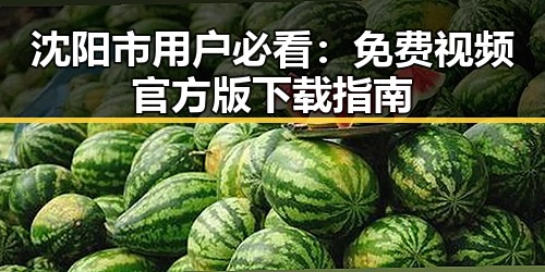 沈阳市用户必看：免费视频官方版下载指南