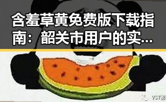 含羞草黄免费版下载指南：韶关市用户的实用选择