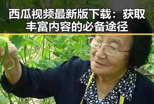 西瓜视频最新版下载：获取丰富内容的必备途径