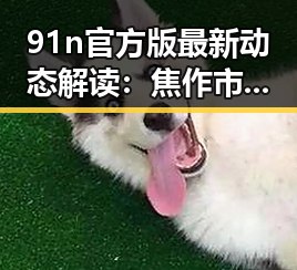 91n官方版最新动态解读：焦作市的应用与发展现状