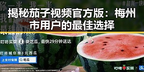 揭秘茄子视频官方版：梅州市用户的最佳选择