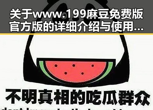 关于www.199麻豆免费版官方版的详细介绍与使用指南