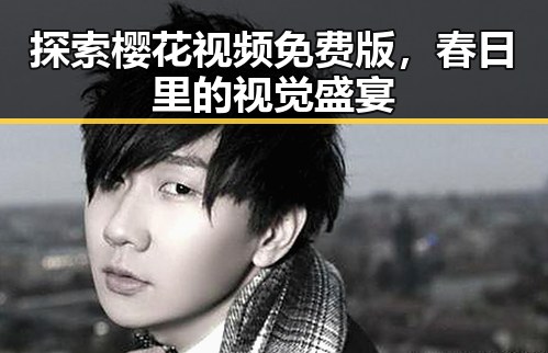 探索樱花视频免费版，春日里的视觉盛宴