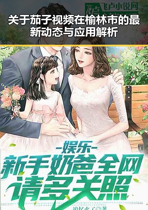 关于茄子视频在榆林市的最新动态与应用解析