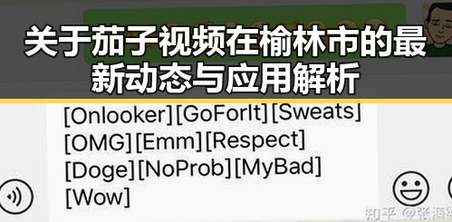 关于茄子视频在榆林市的最新动态与应用解析