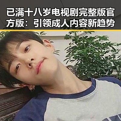 已满十八岁电视剧完整版官方版：引领成人内容新趋势