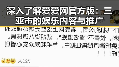 深入了解爱爱网官方版：三亚市的娱乐内容与推广