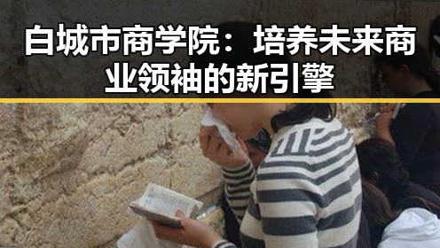白城市商学院：培养未来商业领袖的新引擎