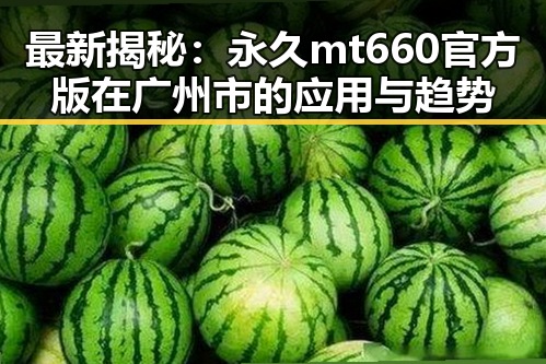 最新揭秘：永久mt660官方版在广州市的应用与趋势