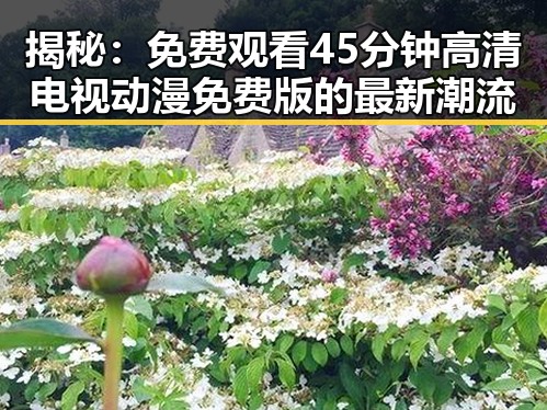 揭秘：免费观看45分钟高清电视动漫免费版的最新潮流