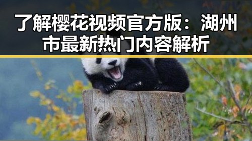 了解樱花视频官方版：湖州市最新热门内容解析