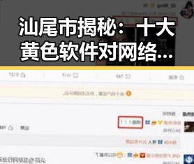 汕尾市揭秘：十大黄色软件对网络环境的影响