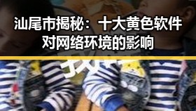 汕尾市揭秘：十大黄色软件对网络环境的影响