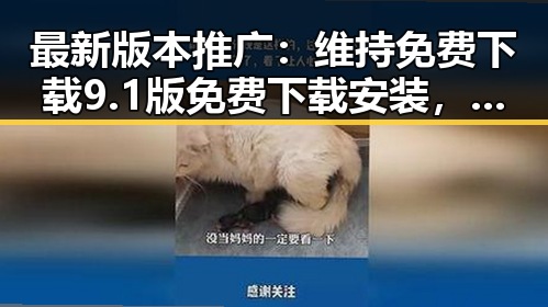 最新版本推广：维持免费下载9.1版免费下载安装，体验畅快无忧