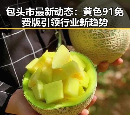 包头市最新动态：黄色91免费版引领行业新趋势
