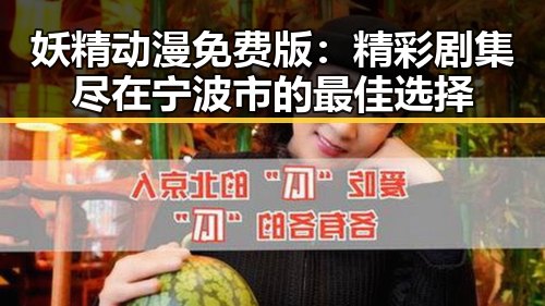 妖精动漫免费版：精彩剧集尽在宁波市的最佳选择