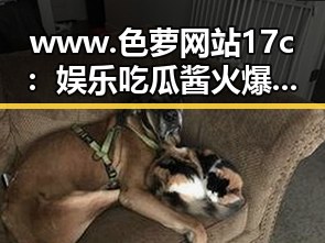 www.色 萝网站17c：娱乐吃瓜酱火爆背后的网络现象解析