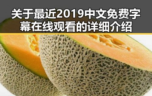 关于最近2019中文免费字幕在线观看的详细介绍