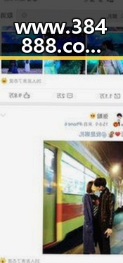 www.384888.com网站历史记录查询：了解您的访问轨迹