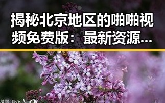 揭秘北京地区的啪啪视频免费版：最新资源详解