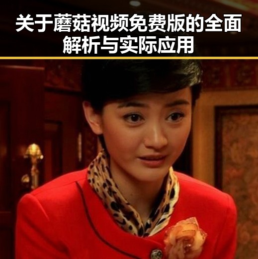 关于蘑菇视频免费版的全面解析与实际应用