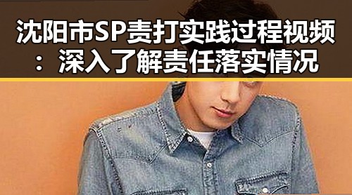 沈阳市SP责打实践过程视频：深入了解责任落实情况