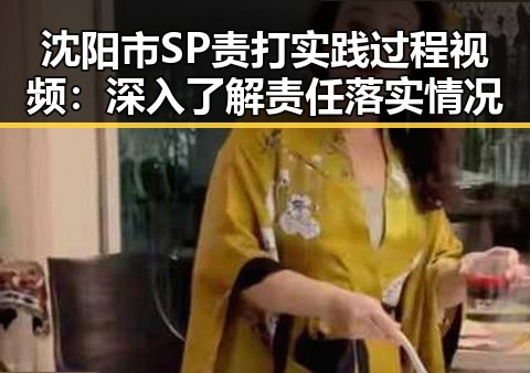 沈阳市SP责打实践过程视频:深入了解责任落实情况
