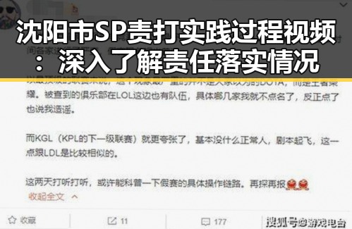 沈阳市SP责打实践过程视频:深入了解责任落实情况
