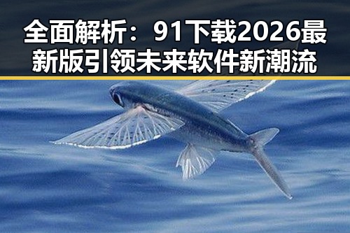 全面解析：91下载2026最新版引领未来软件新潮流