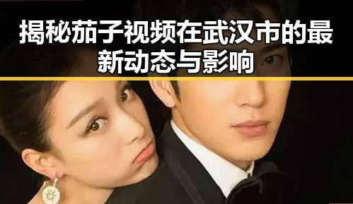 揭秘茄子视频在武汉市的最新动态与影响